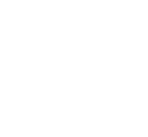 Binary Info Tech Solutions
